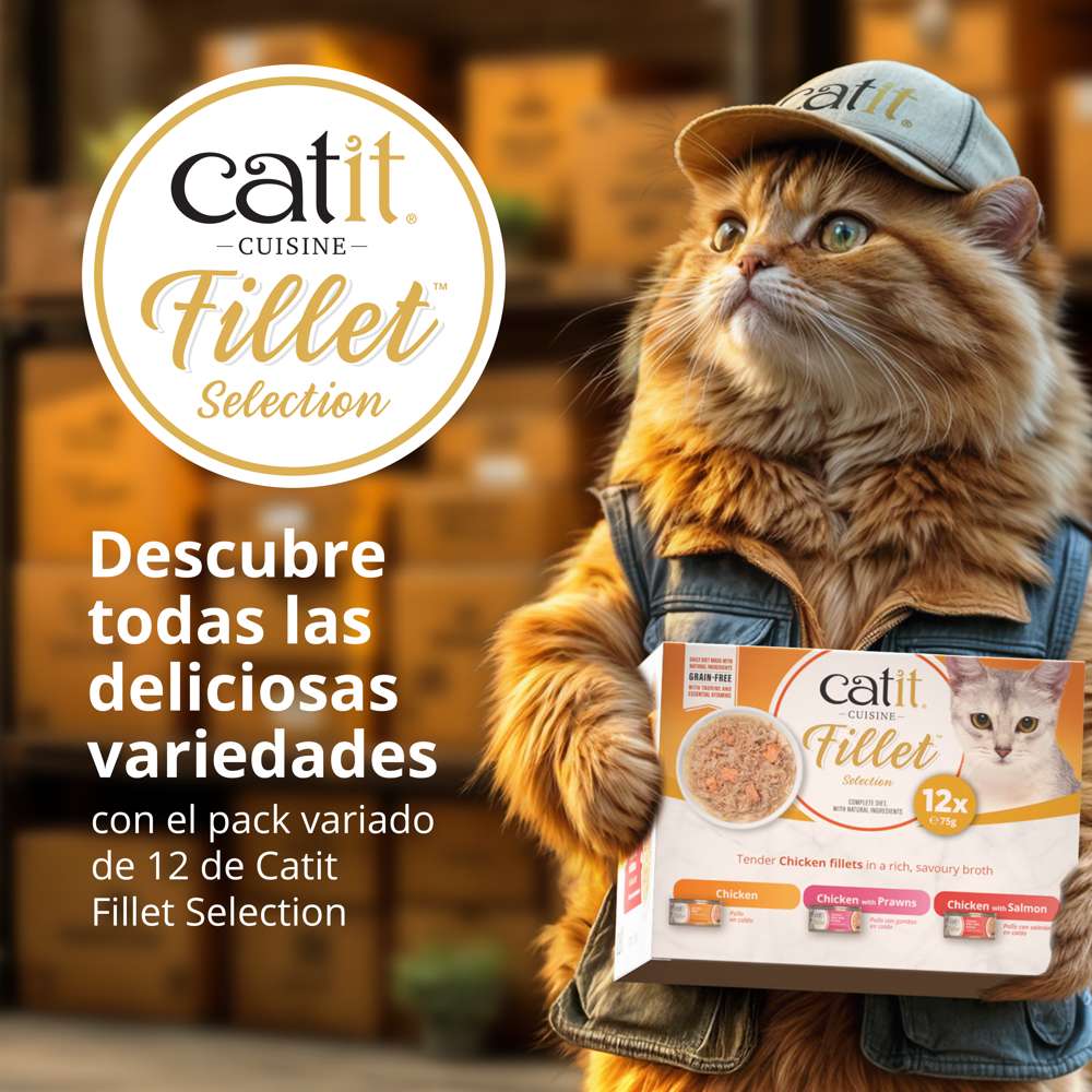 Carne desmenuzada para gatos Catit Cuisine Fillet - Pack variado de 12 - Image 15