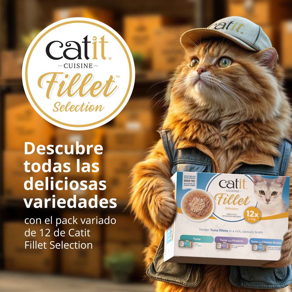 Carne desmenuzada para gatos Catit Cuisine Fillet - Pack variado de 12 - Image 17