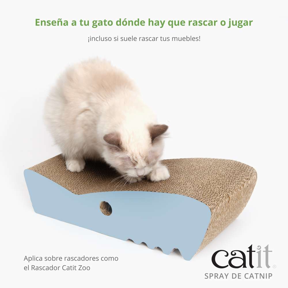 Catnip en Spray 90 ml - Image 3