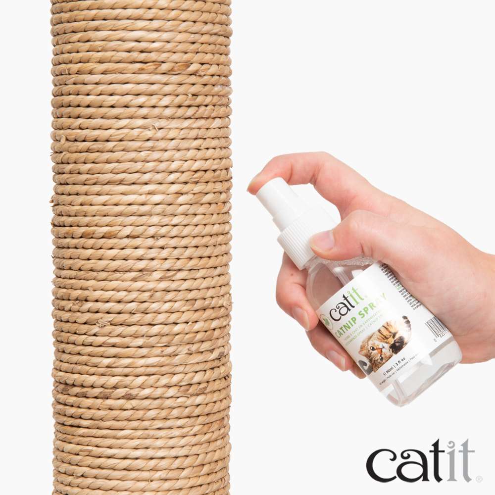 Catnip en Spray 90 ml - Image 6