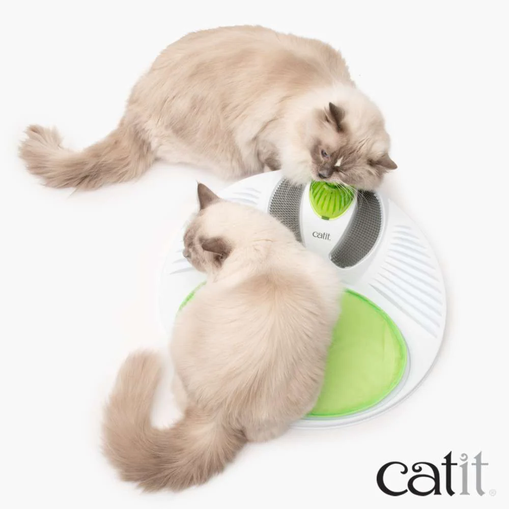Catnip en Spray 90 ml - Image 8