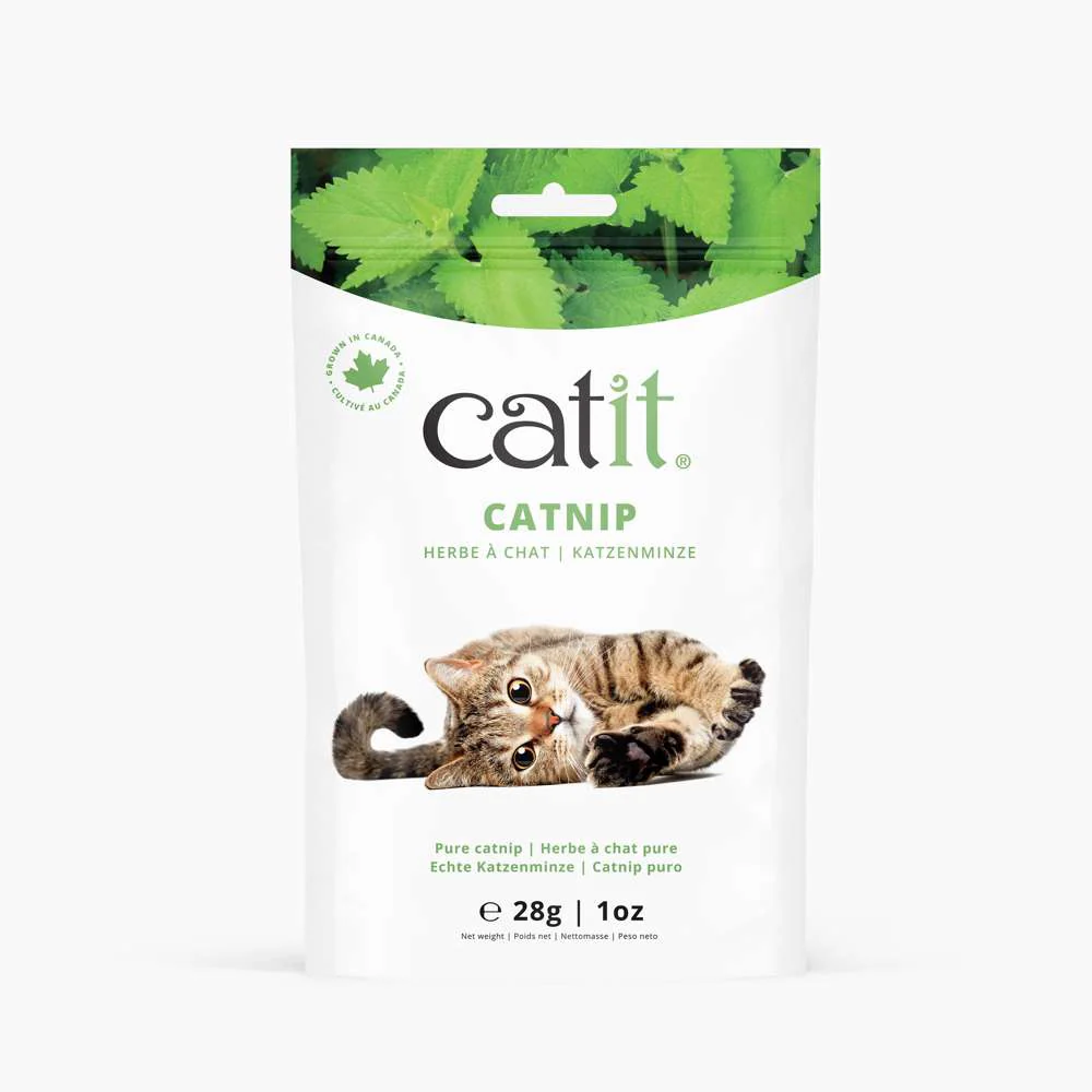 Catnip seco Catit - Image 10