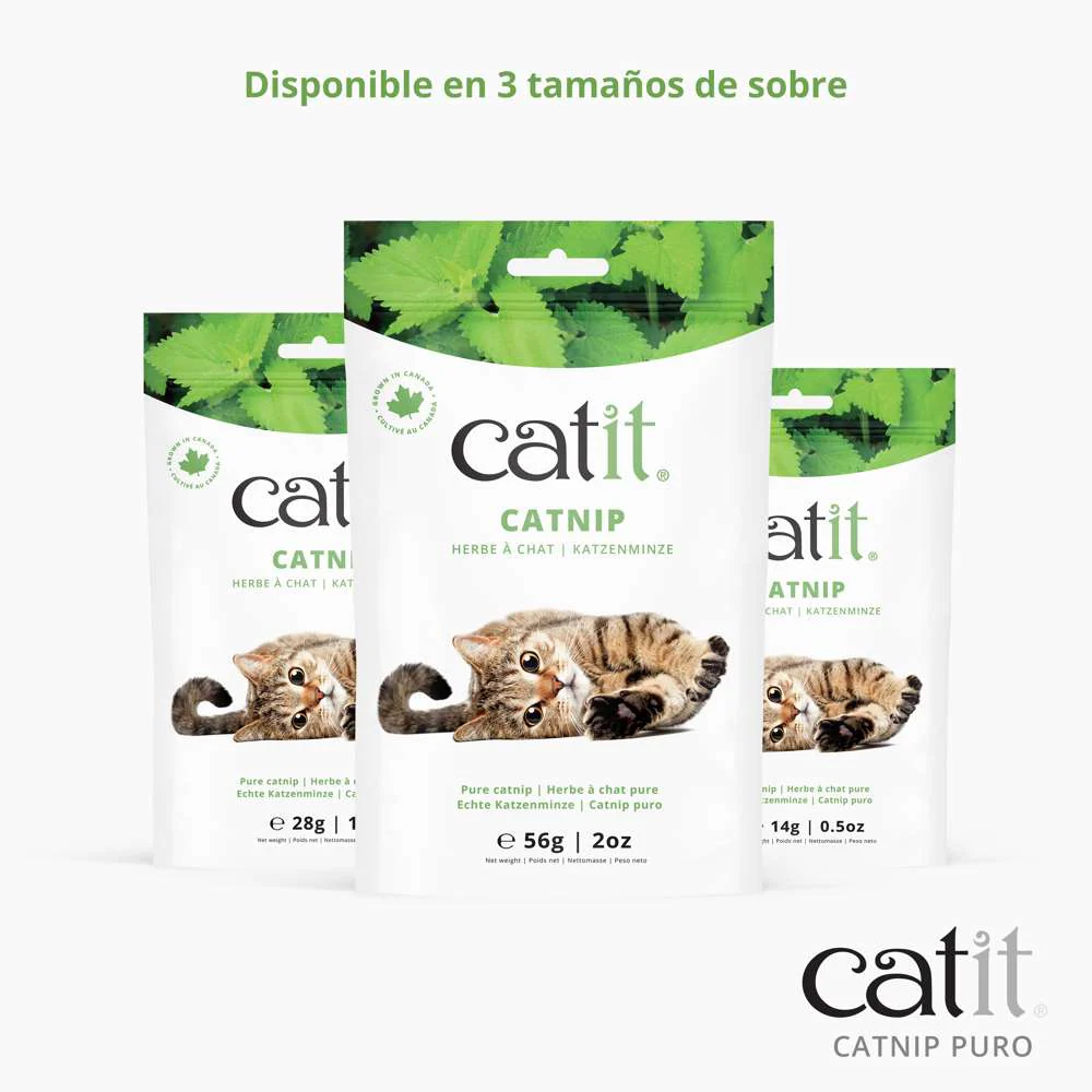 Catnip seco Catit - Image 4