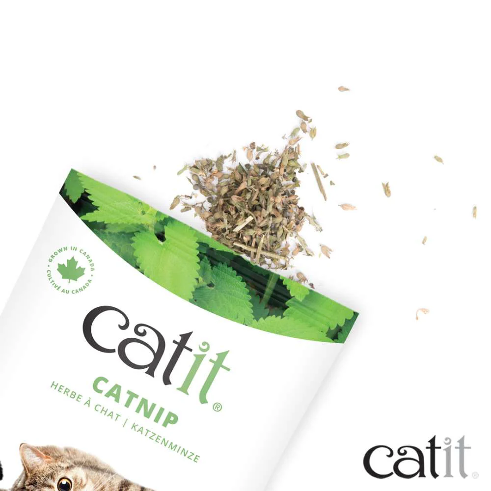 Catnip seco Catit - Image 8