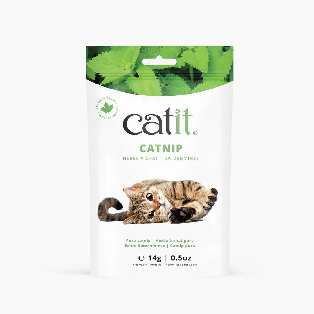 Catnip seco Catit - Image 9