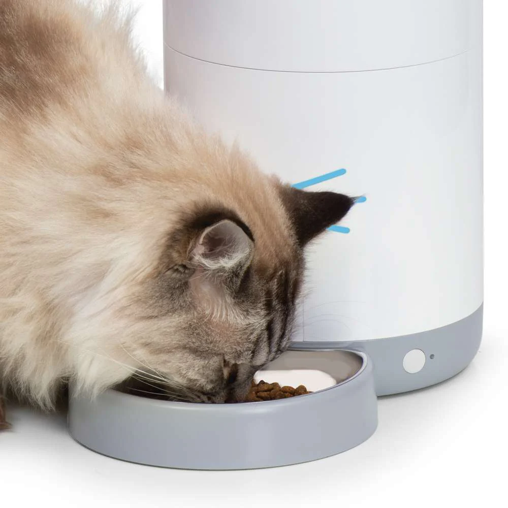 Comedero Inteligente Vision Catit PIXI - Image 9