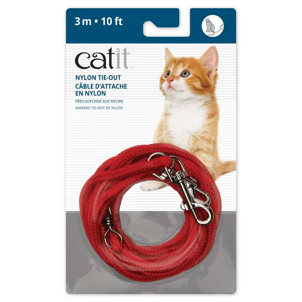 Catit Correa - Image 2
