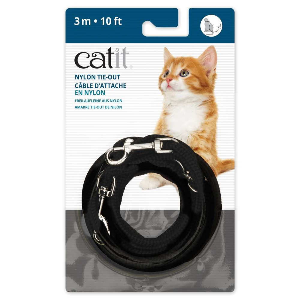 Catit Correa - Image 3