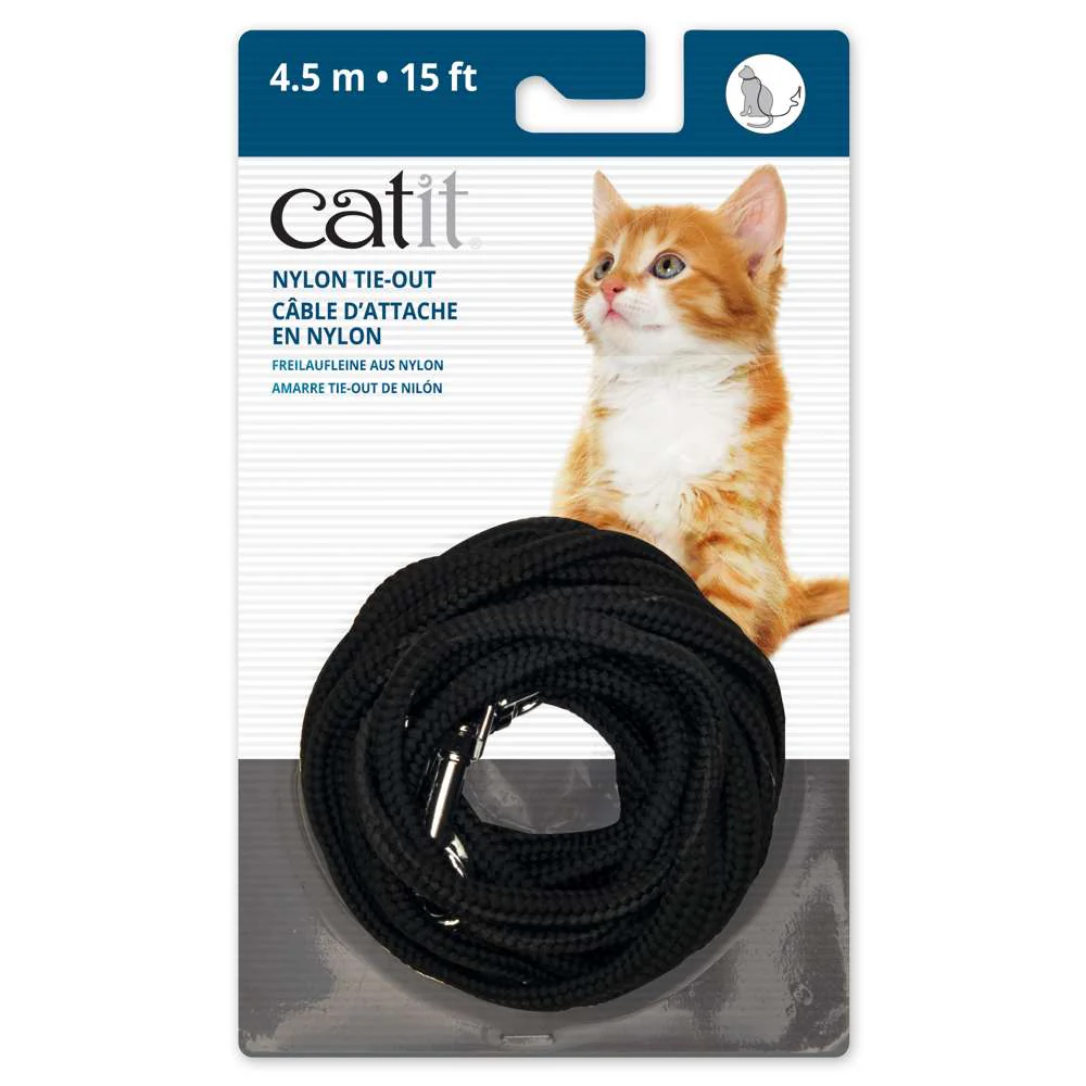 Catit Correa - Image 5