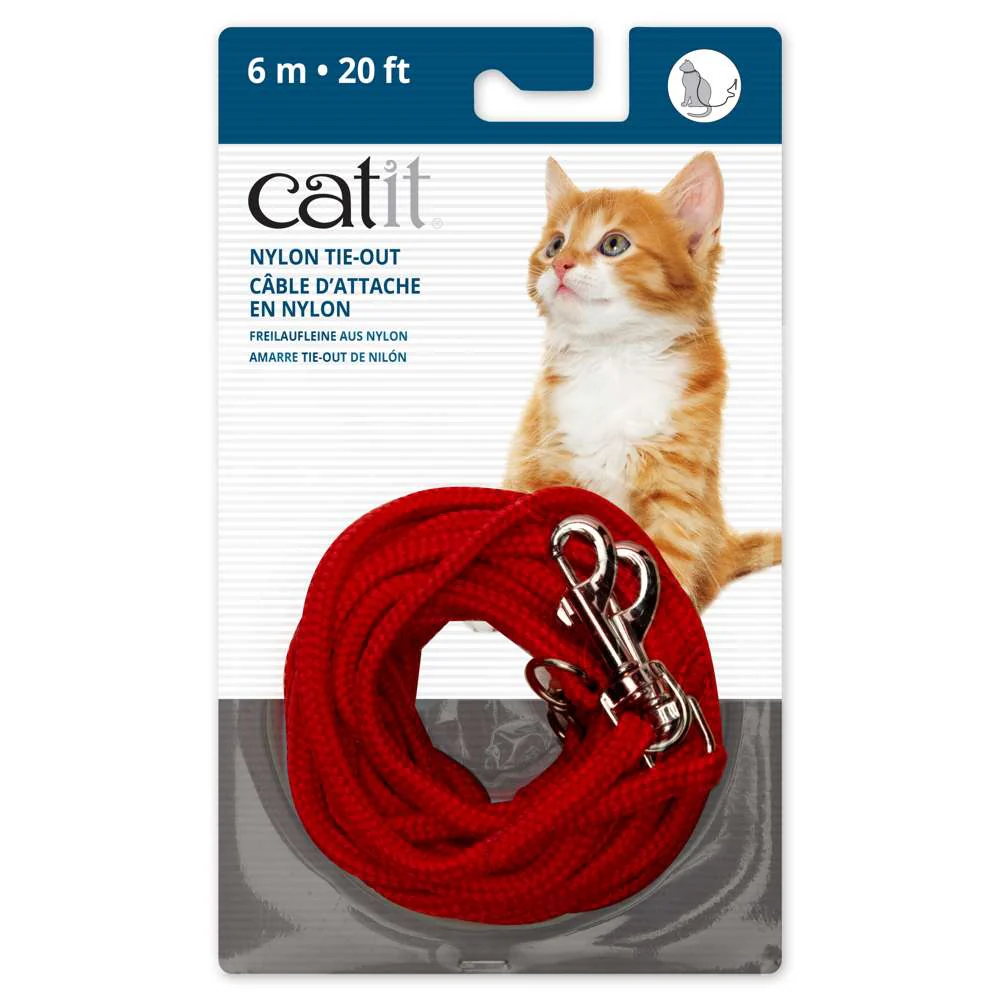 Catit Correa - Image 6