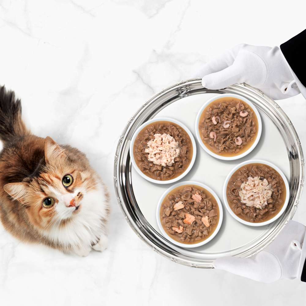 Dúo de carne con toppings para gatos Catit Cuisine Duet - Image 10