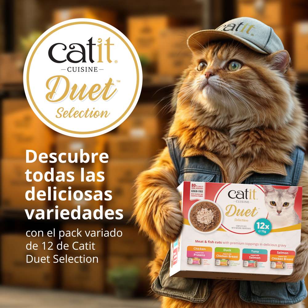 Dúo de carne con toppings para gatos Catit Cuisine Duet - Image 8