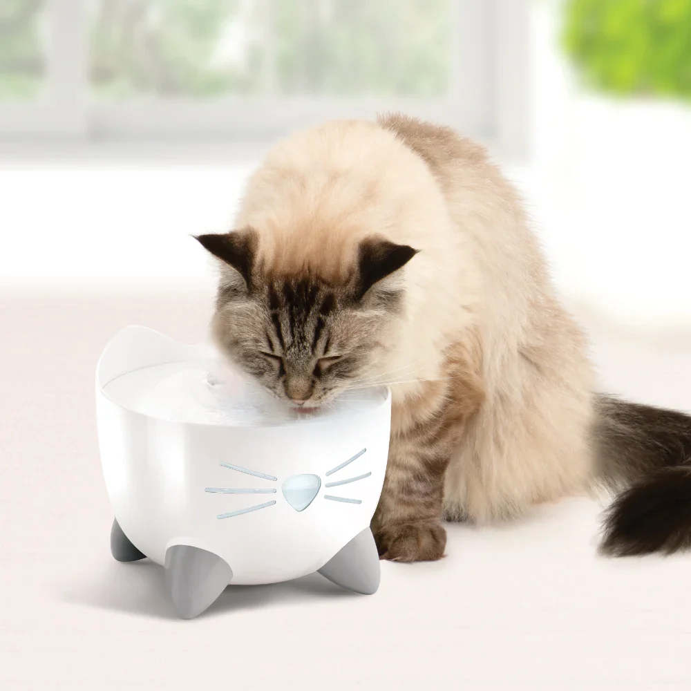 Fuente para gatos PIXI - Image 7
