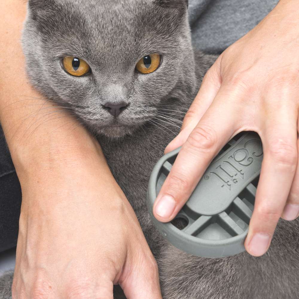 Grooming Kit para Pelo Corto - Image 11