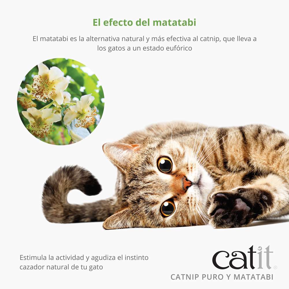 Mezcla de Catnip y Matatabi Catit - Image 4