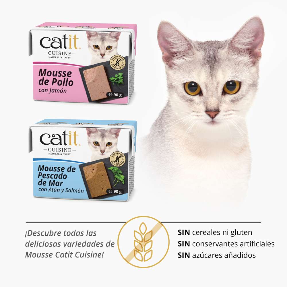 Mousse para gatos Catit Cuisine - Image 7