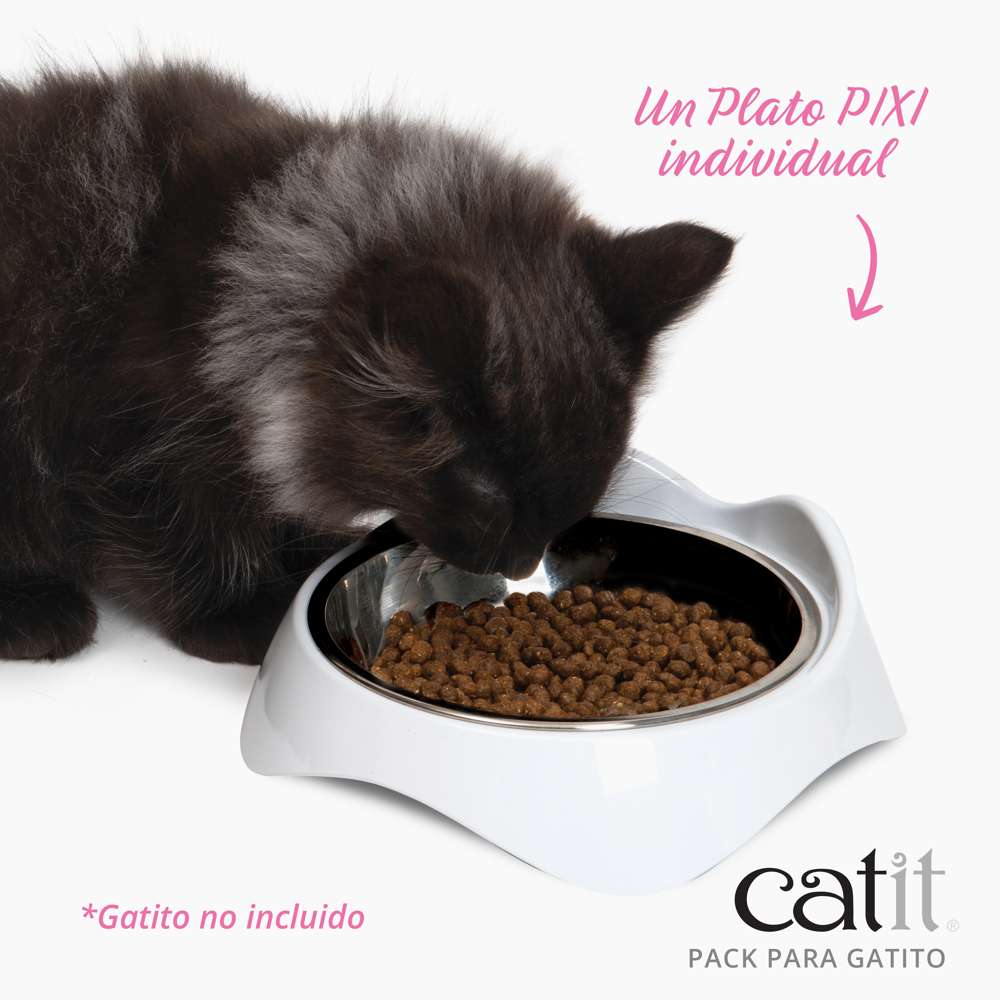 Pack para Gatitos Junior Catit - Image 4