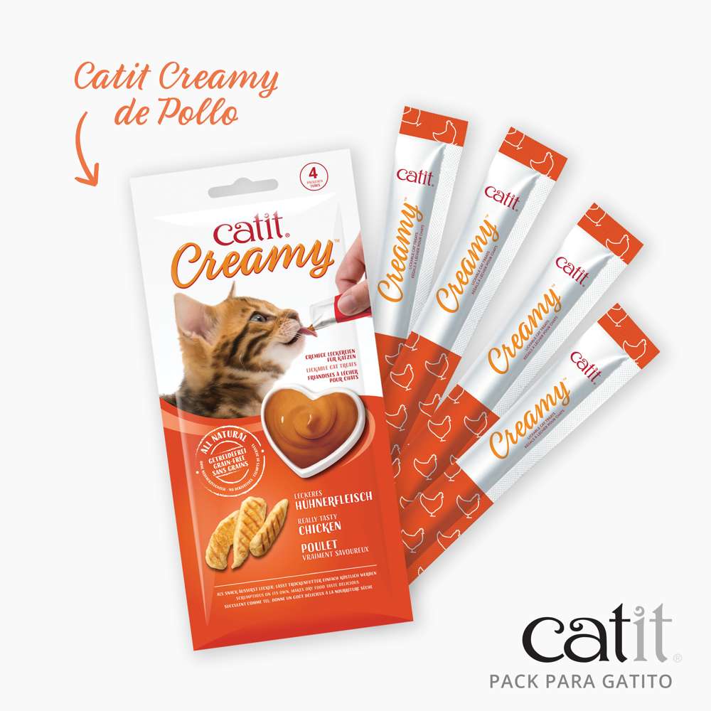 Pack para Gatitos Junior Catit - Image 5