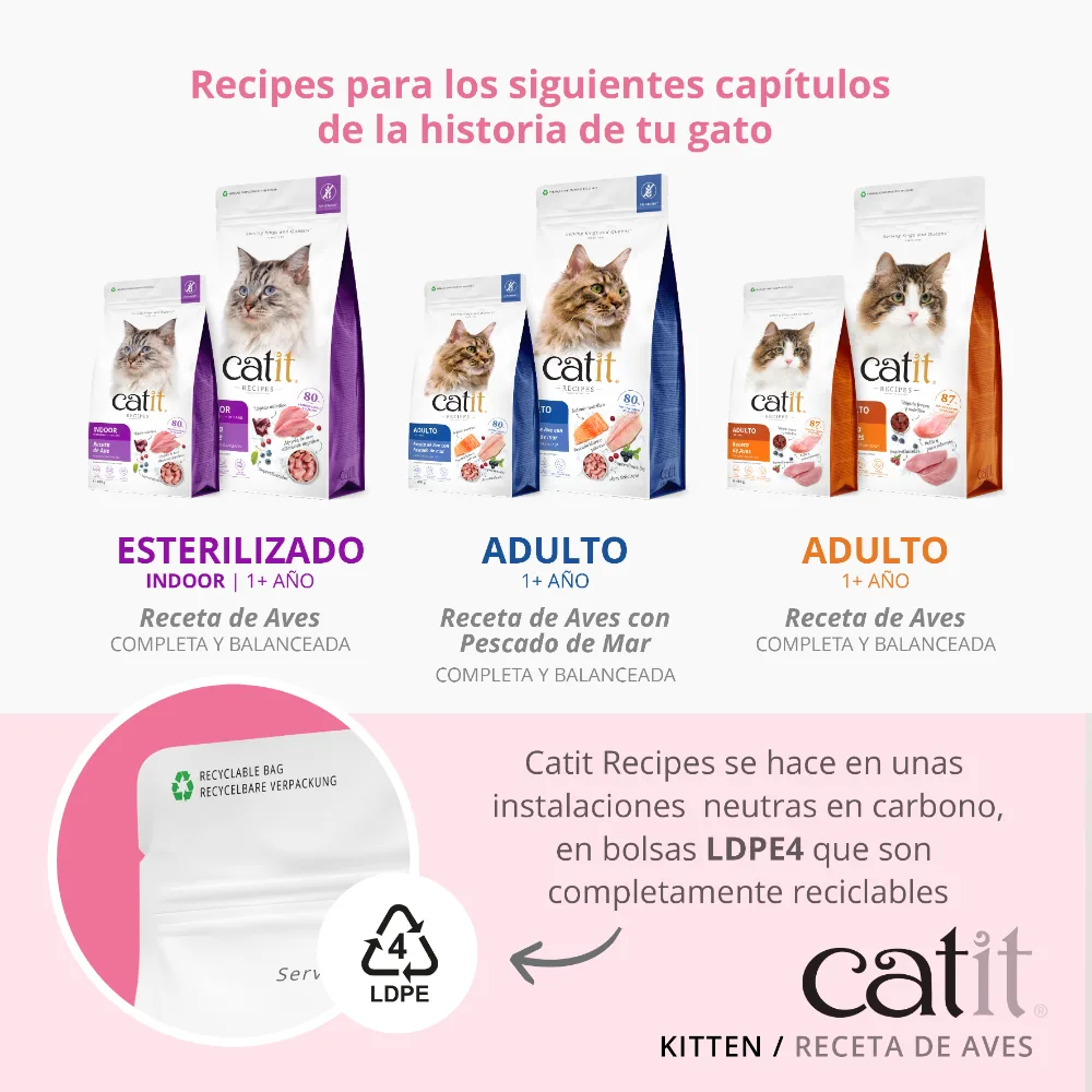 Pienso para Gatito Junior Catit Recipes - Receta de Aves para KITTEN - Image 5