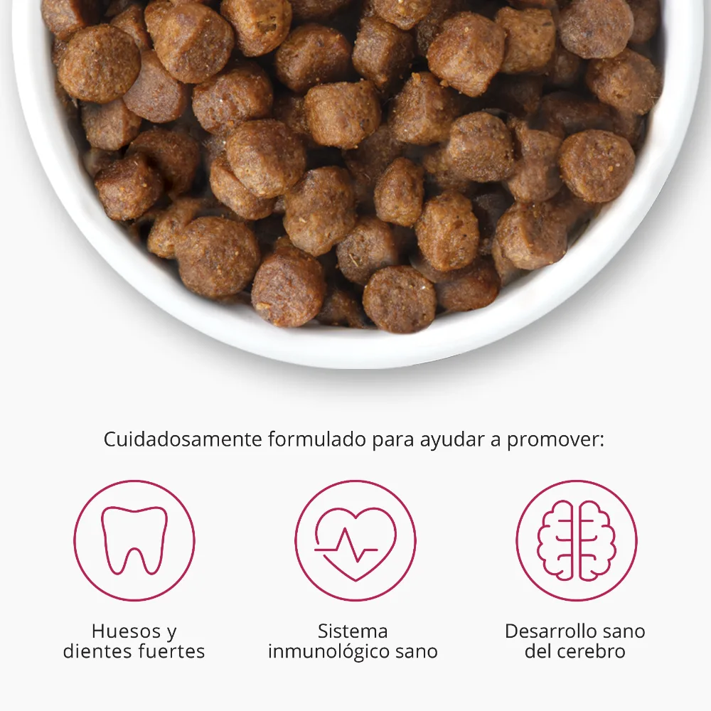 Pienso para Gatito Junior Catit Recipes - Receta de Aves para KITTEN - Image 8