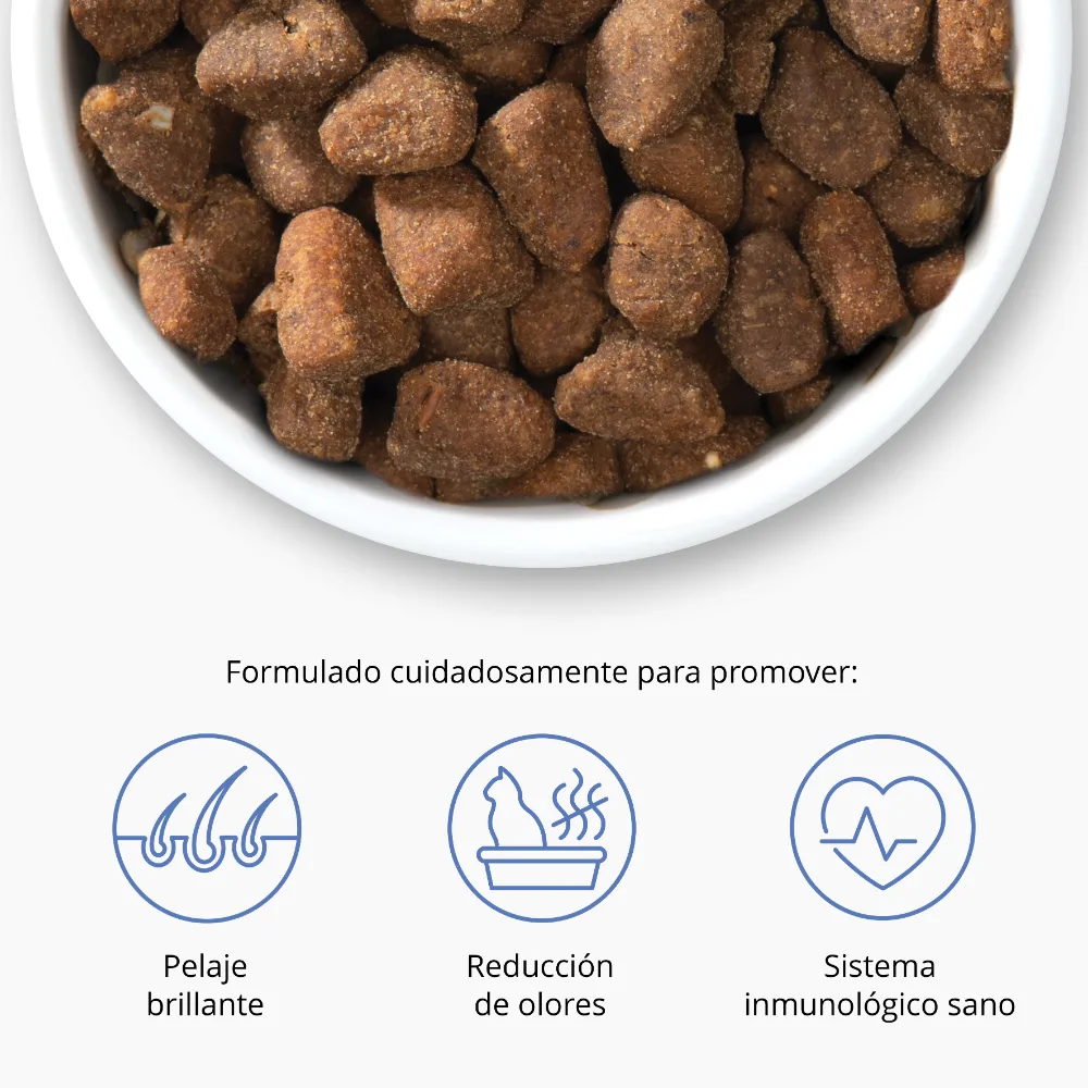 Pienso para Gatos Catit Recipes -Receta de Aves con Pescado de Mar para ADULTO - Image 12