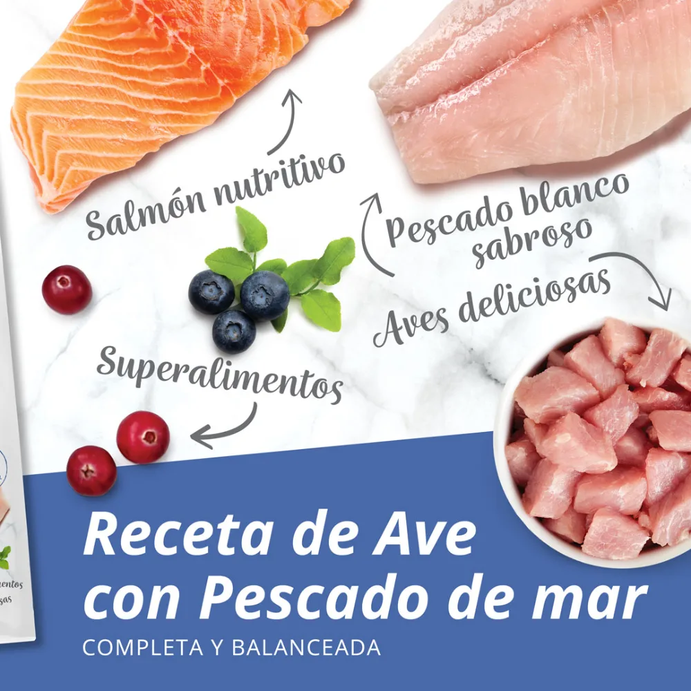Pienso para Gatos Catit Recipes -Receta de Aves con Pescado de Mar para ADULTO - Image 8
