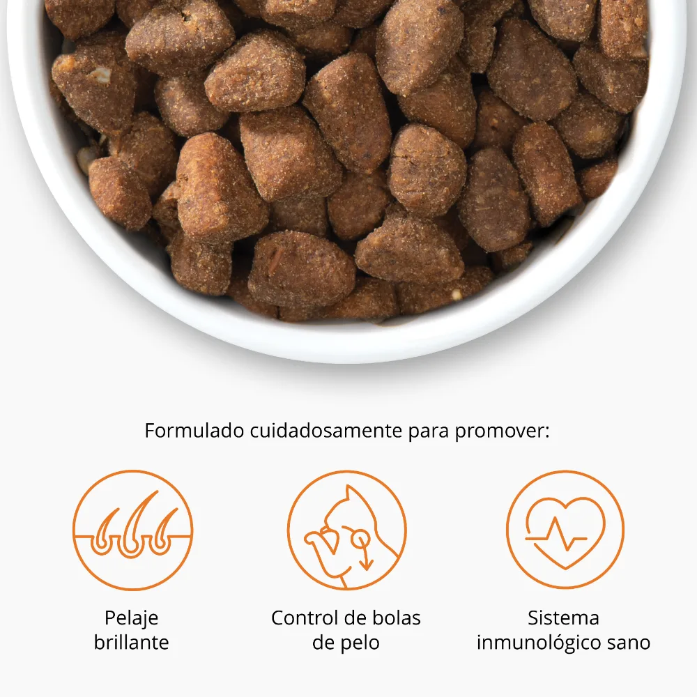 Pienso para Gatos Catit Recipes -Receta de Aves para ADULTO - Image 11