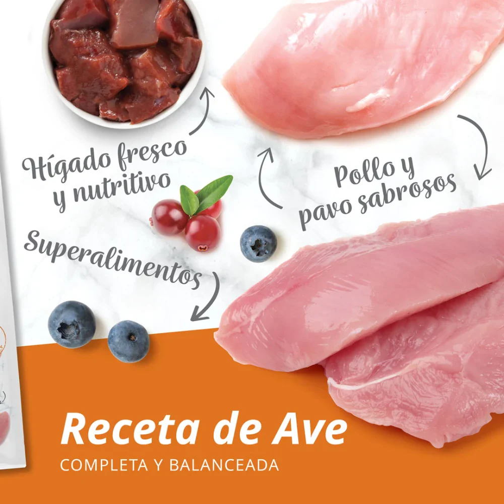 Pienso para Gatos Catit Recipes -Receta de Aves para ADULTO - Image 13