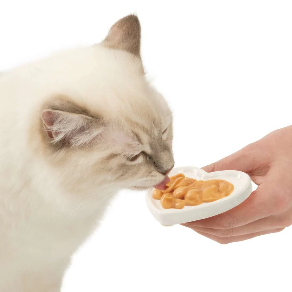 Plato de Corazón Catit Creamy - Image 4