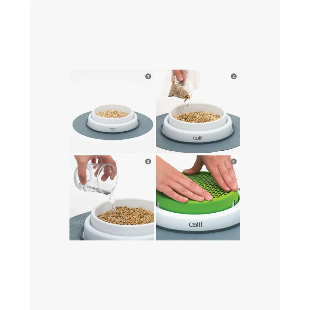 Senses Cat Grass Kit - Image 5