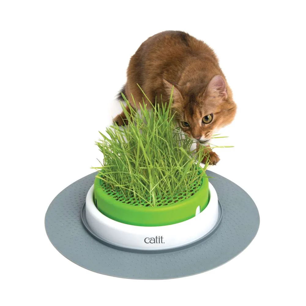 Senses Grass Planter - Image 11
