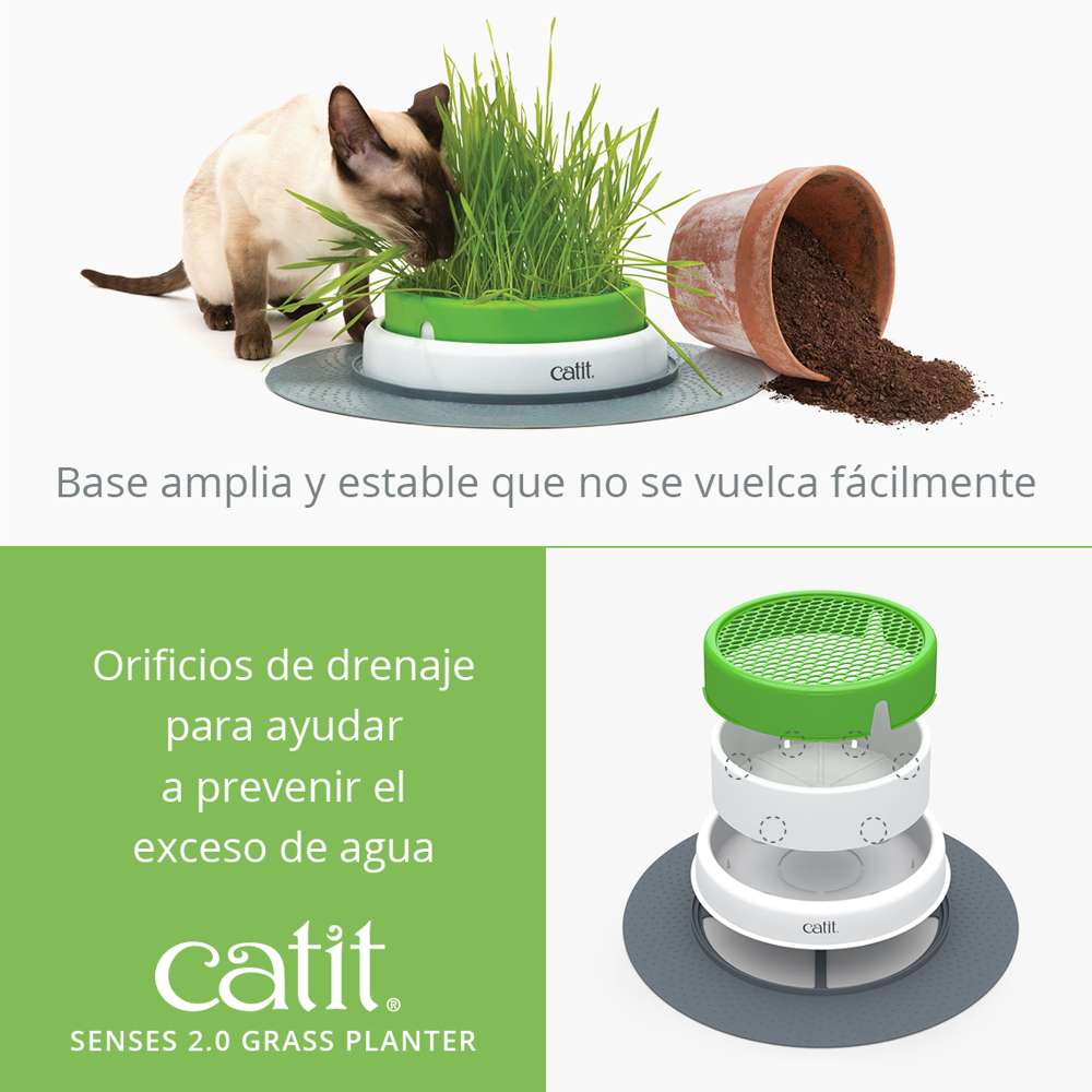 Senses Grass Planter - Image 3