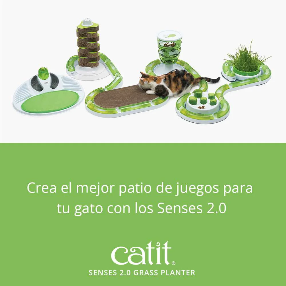 Senses Grass Planter - Image 7