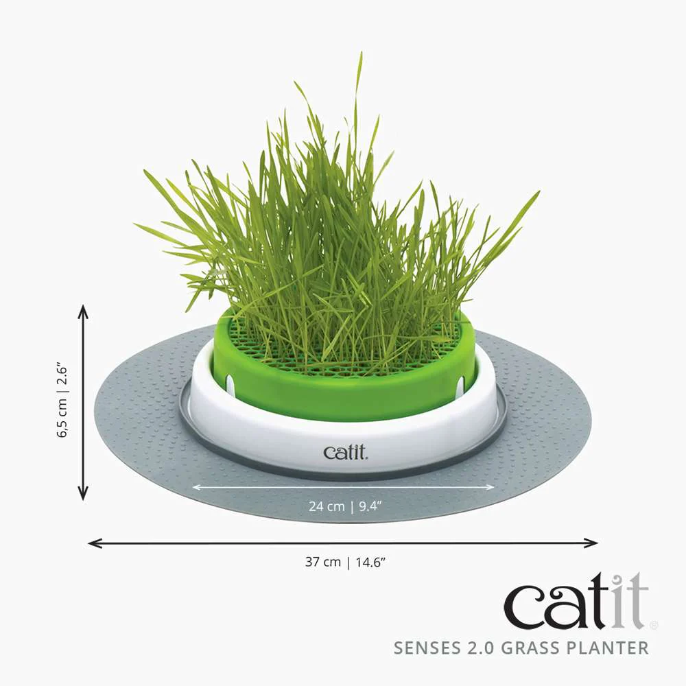 Senses Grass Planter - Image 8