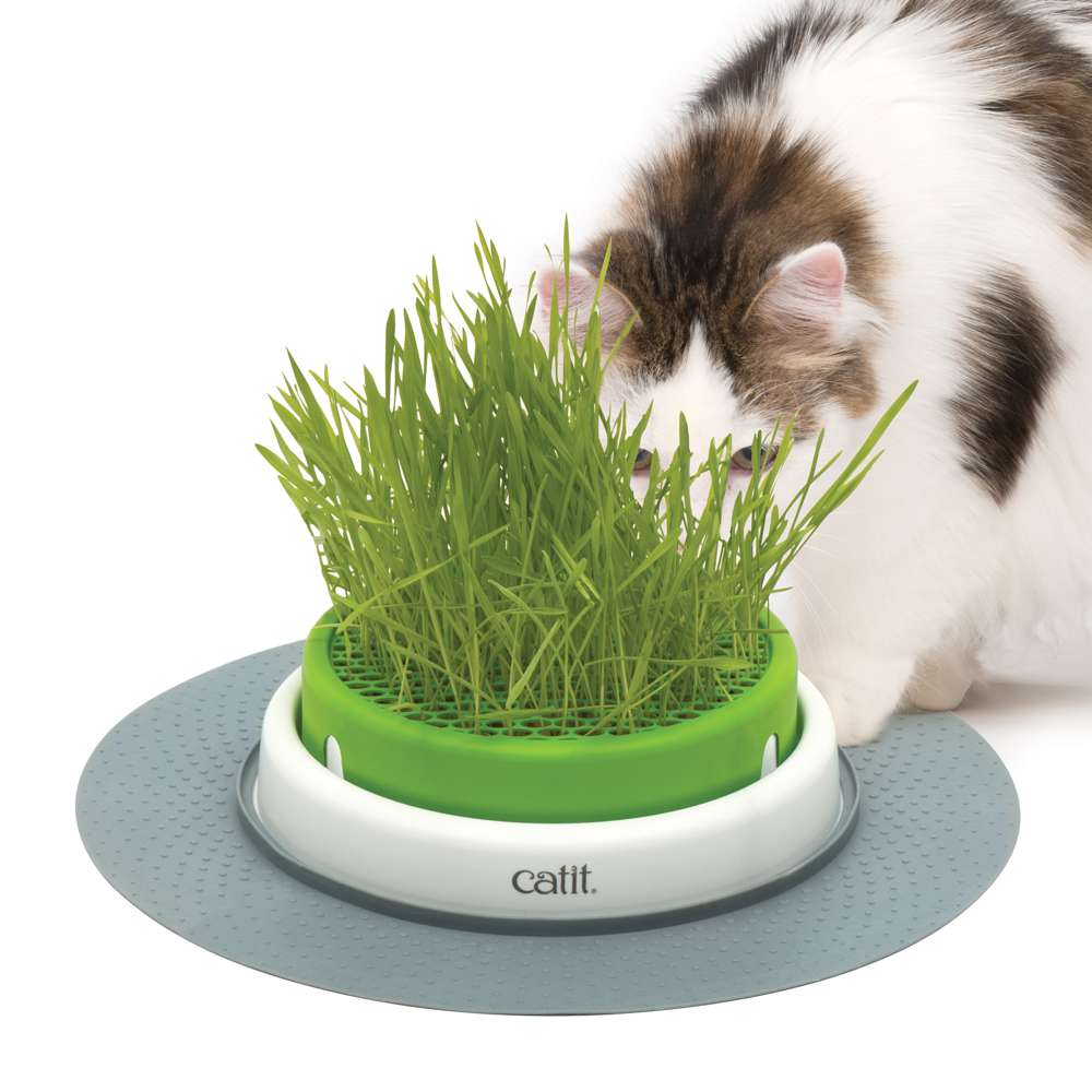 Senses Grass Planter - Image 9