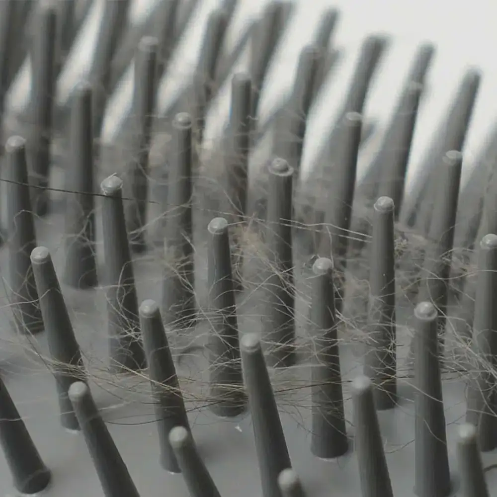Senses Self Groomer - Image 12