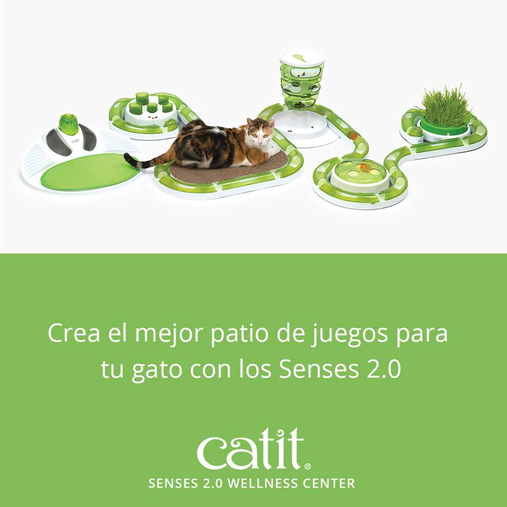 Senses Wellness Center - Image 5