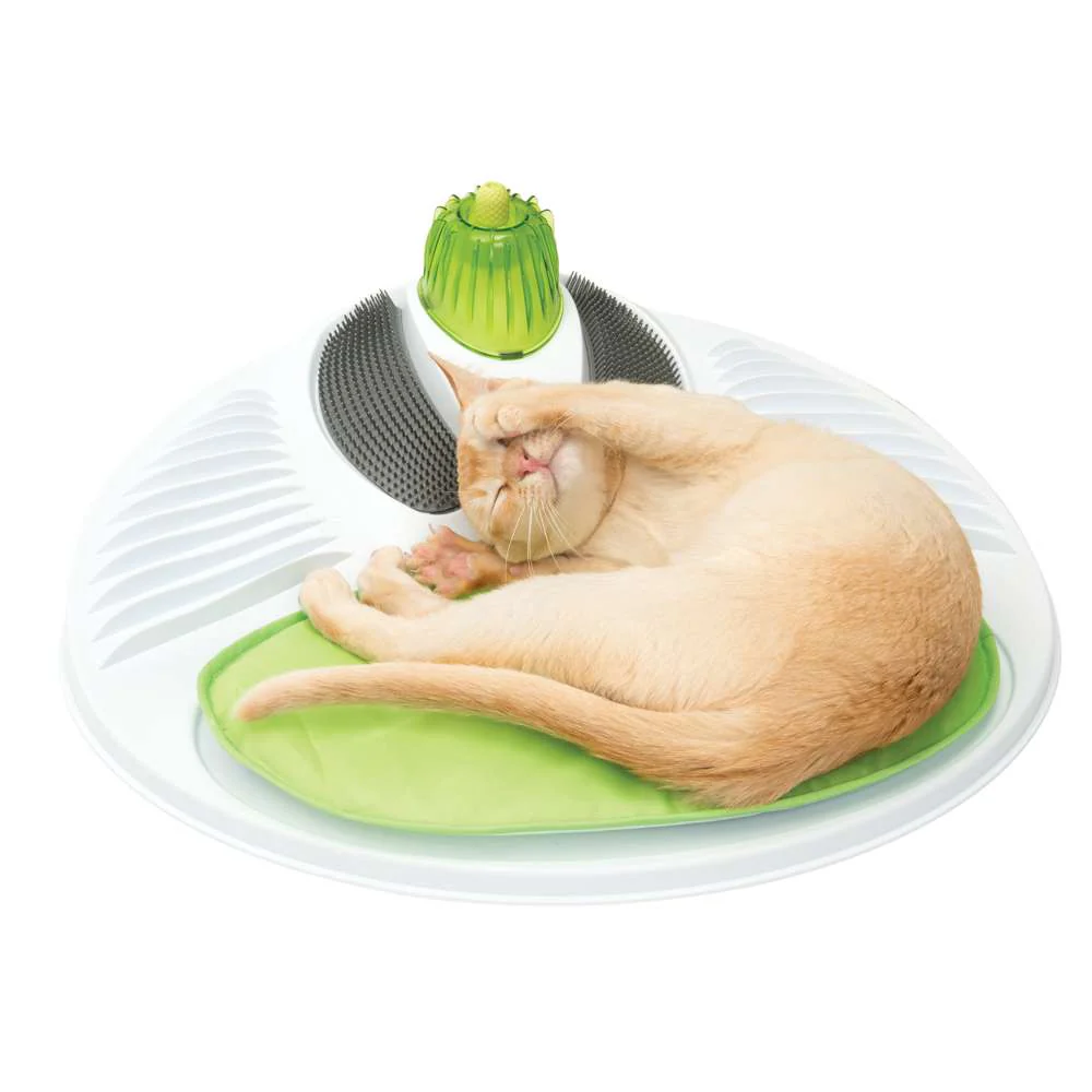 Senses Wellness Center - Image 7