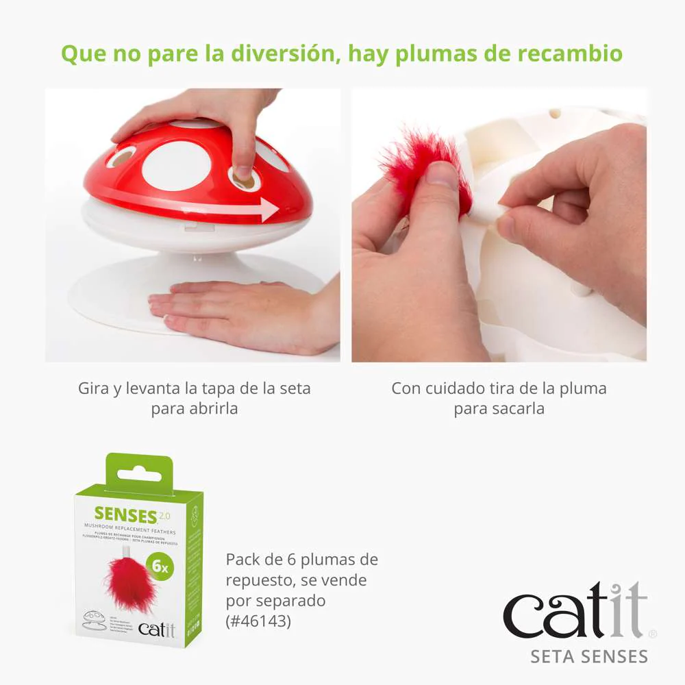 Seta Senses - Image 2