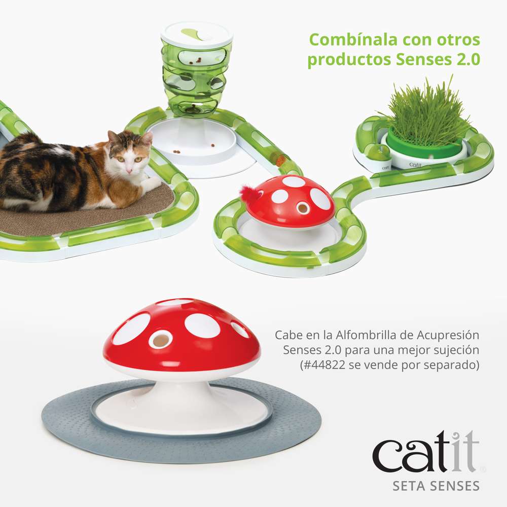 Seta Senses - Image 5