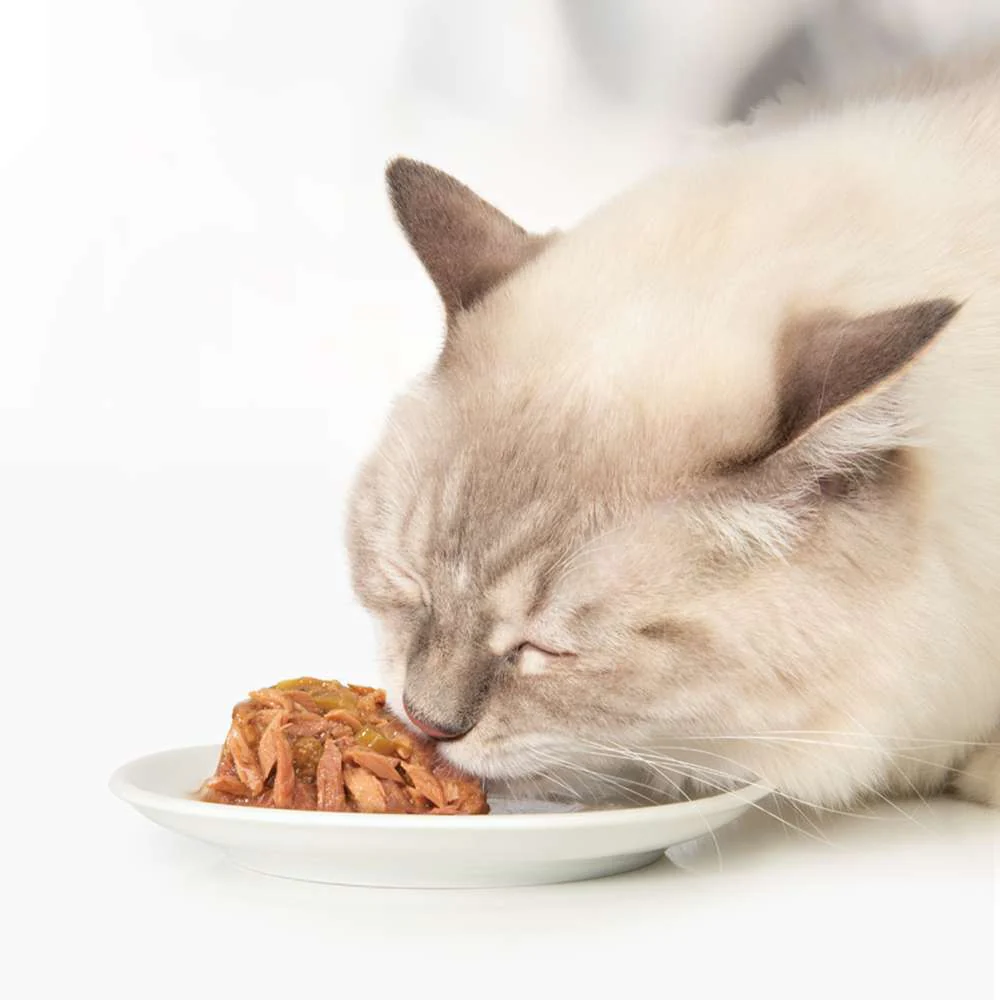 Tarrina de doble capa para gatos Catit Cuisine Dinner - Pack variado de 12 - Image 12