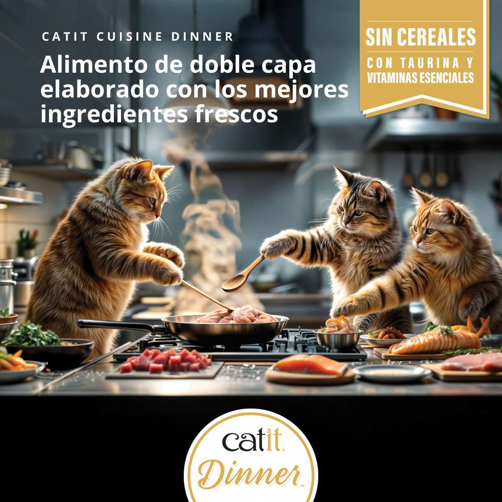 Tarrina de doble capa para gatos Catit Cuisine Dinner - Pack variado de 12 - Image 8