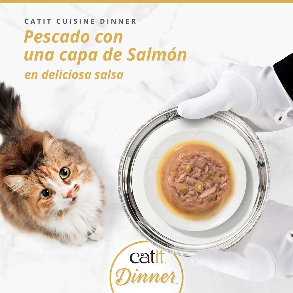 Tarrina de pescado de doble capa para gatos Catit Cuisine Dinner - Image 19
