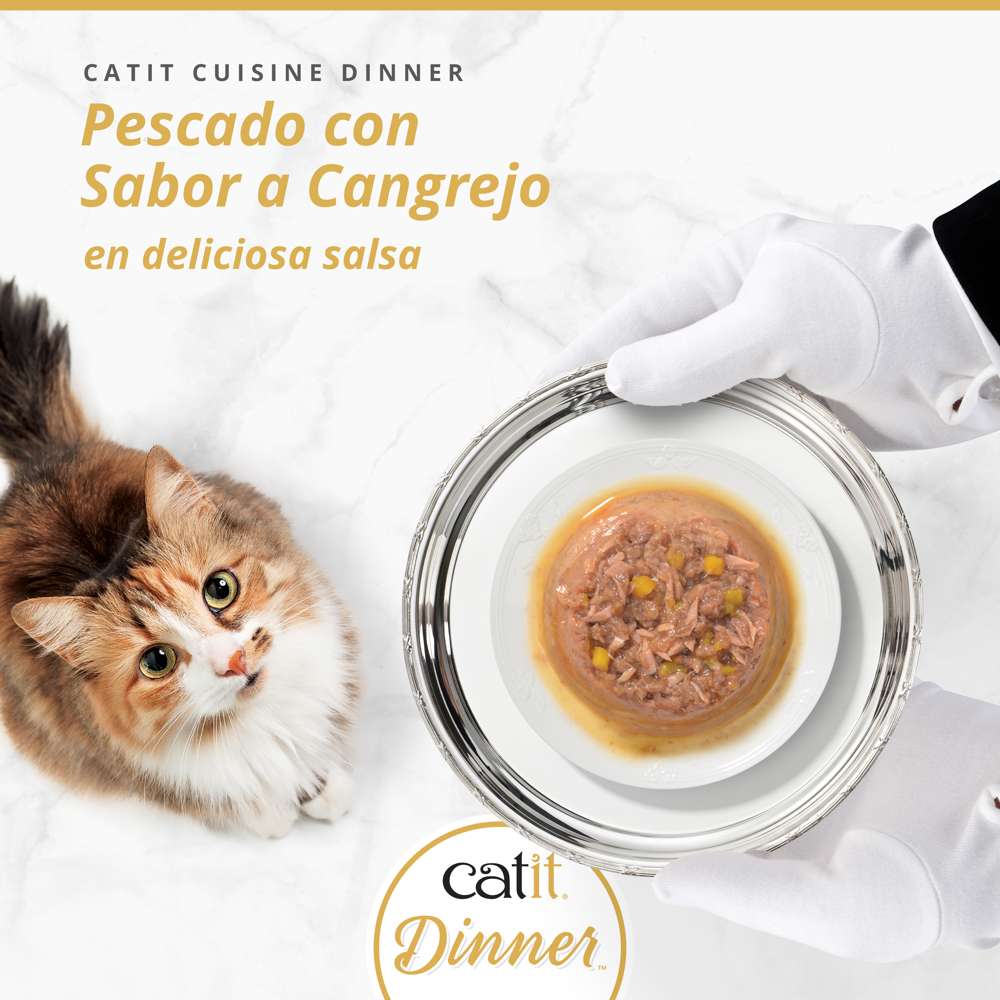 Tarrina de pescado de doble capa para gatos Catit Cuisine Dinner - Image 20