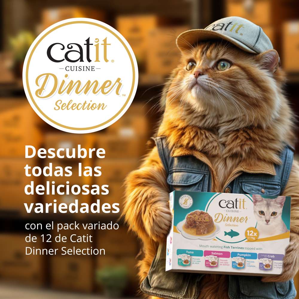 Tarrina de pescado de doble capa para gatos Catit Cuisine Dinner - Image 8