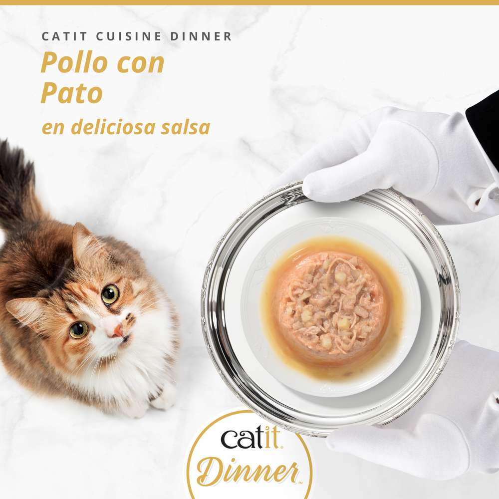 Tarrina de pollo de doble capa para gatos Catit Cuisine Dinner - Image 14