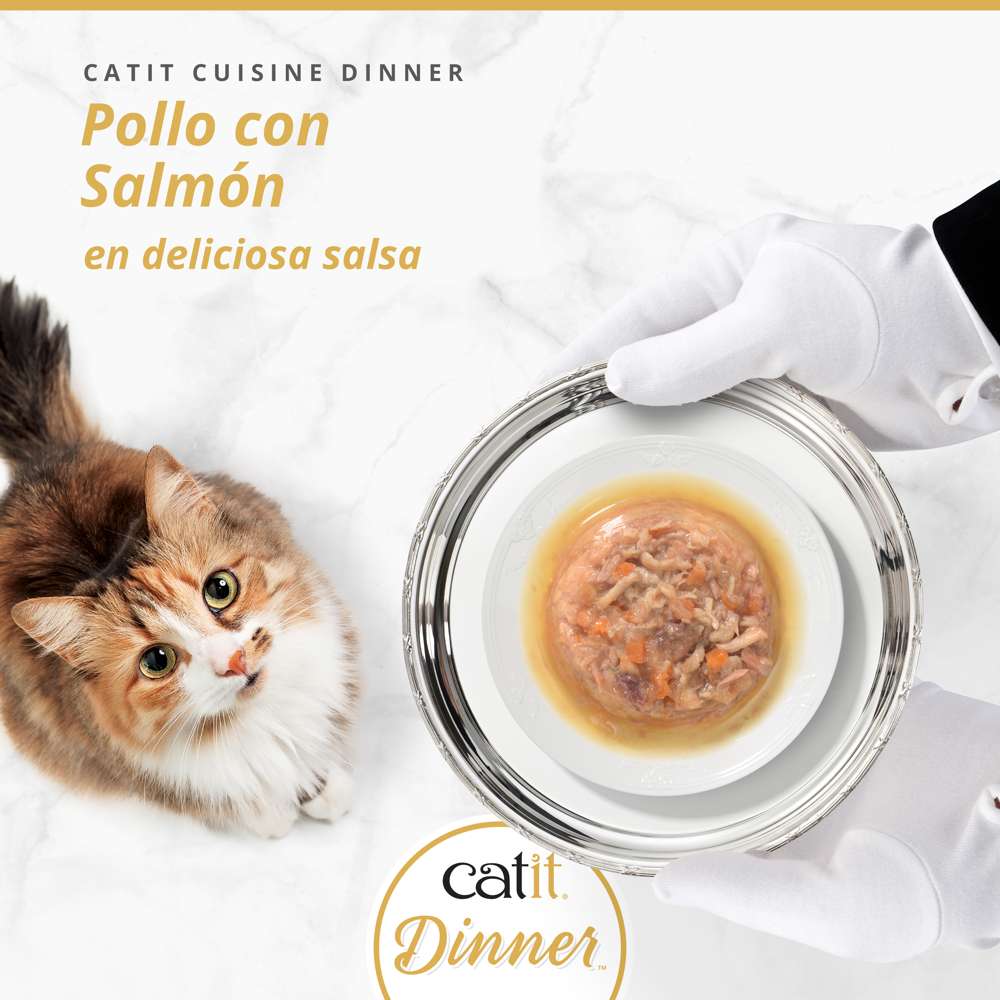 Tarrina de pollo de doble capa para gatos Catit Cuisine Dinner - Image 17