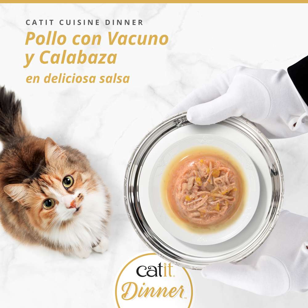 Tarrina de pollo de doble capa para gatos Catit Cuisine Dinner - Image 20