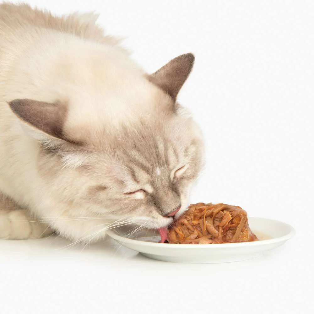 Tarrina de pollo de doble capa para gatos Catit Cuisine Dinner - Image 7