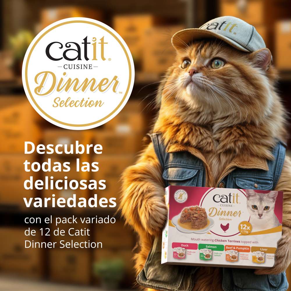 Tarrina de pollo de doble capa para gatos Catit Cuisine Dinner - Image 8
